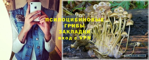 а пвп мука Вяземский