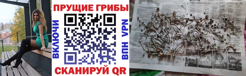 кракен вход  где можно купить наркотик  Остров  Галлюциногенные грибы Psilocybine cubensis 